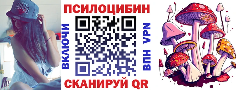 как найти   Таштагол  Галлюциногенные грибы MAGIC MUSHROOMS 