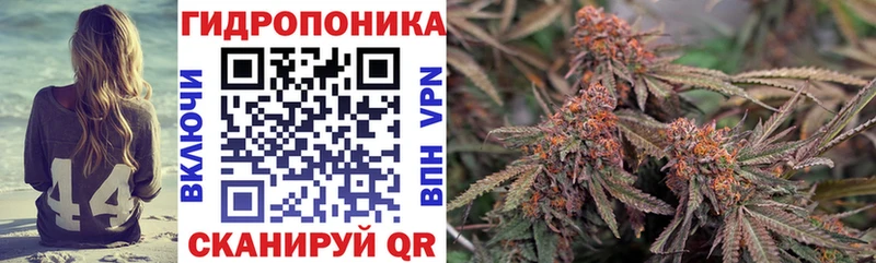 Канабис тримм мега ТОР Таштагол наркота
